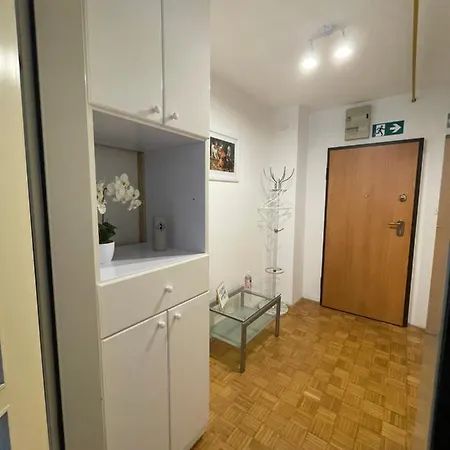 - Grey 卢布尔雅那