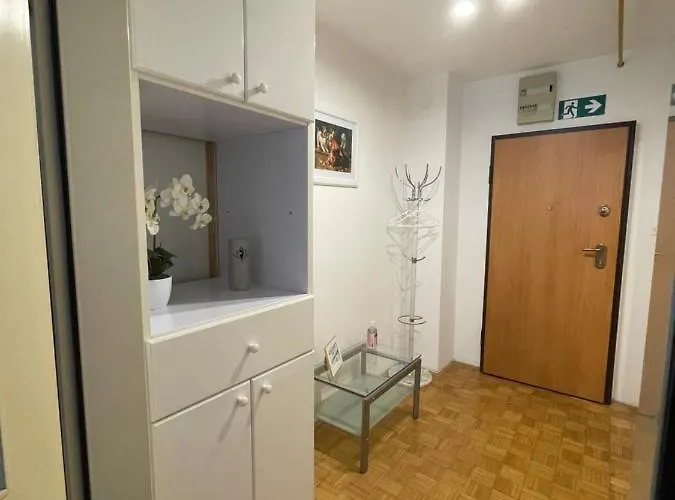 - Grey 卢布尔雅那